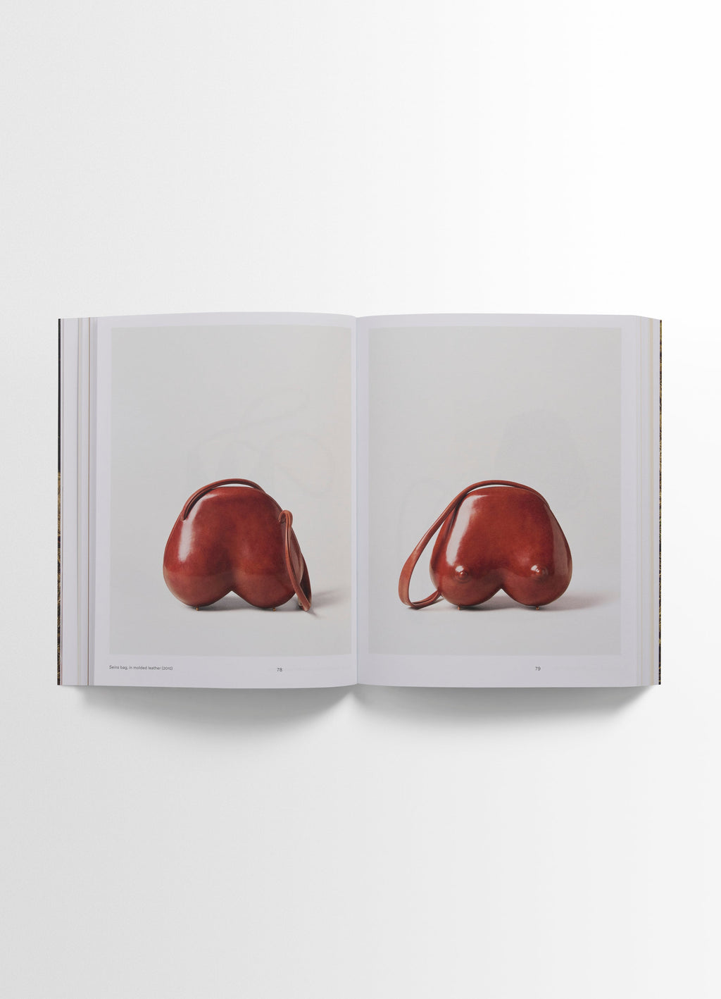 LIVRE DE CARLOS PEÑAFIEL