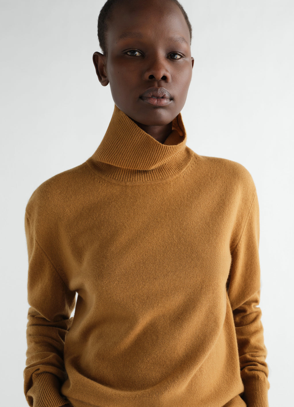 TURTLE NECK SWEATER IN CASHMERE